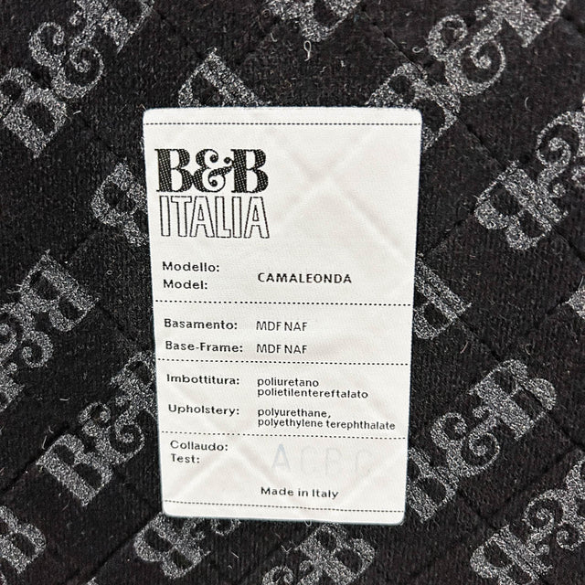 B&B Italia - Camaleonda - violett