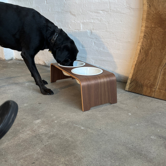 dogBar® - Classic Hundenapf medium - Nussbaum