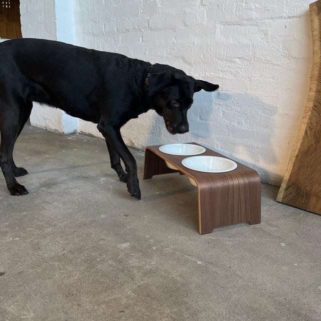 dogBar® - Classic Hundenapf medium - Nussbaum