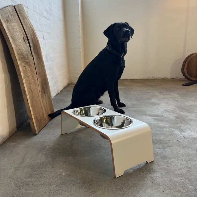 dogBar® - Classic Hundenapf medium