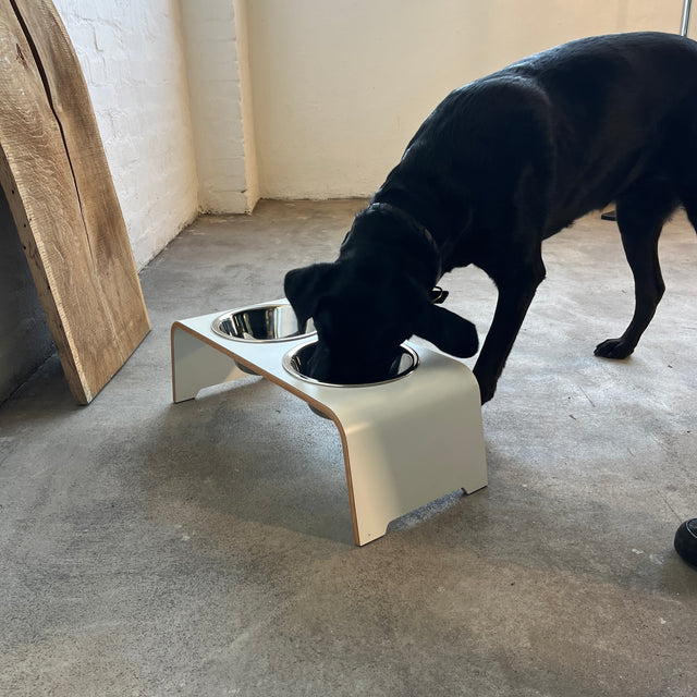 dogBar® - Classic Hundenapf medium