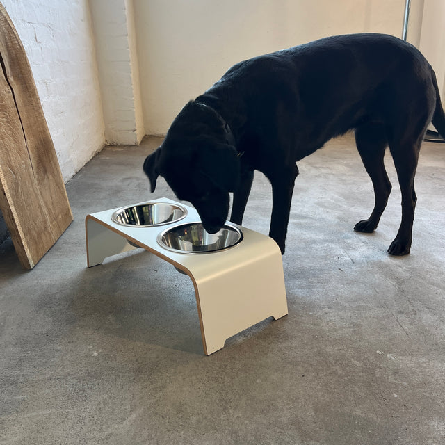 dogBar® - Classic Hundenapf medium