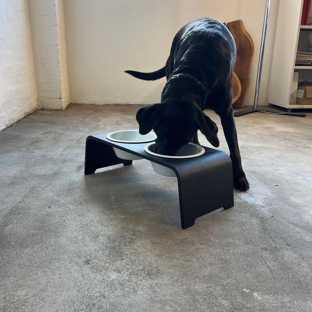 dogBar® - Classic Hundenapf medium - Eiche dunkel