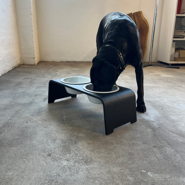 dogBar® - Classic Hundenapf medium - Eiche dunkel