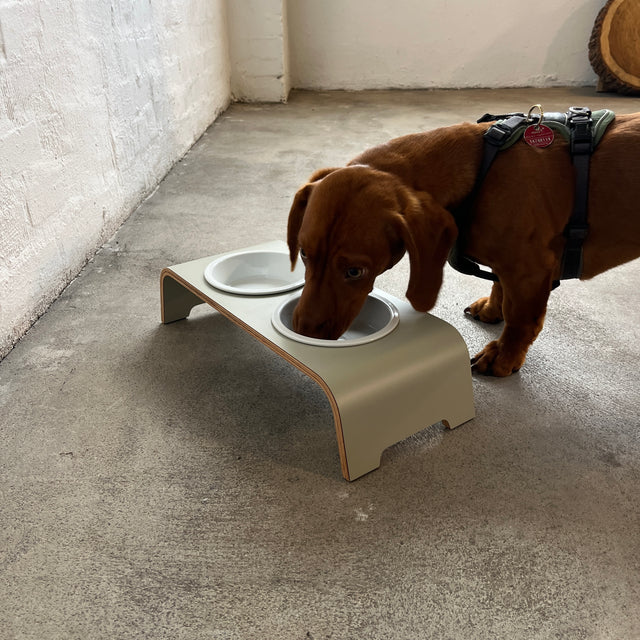 dogBar® - Classic Hundenapf small - salbei - Porzellan