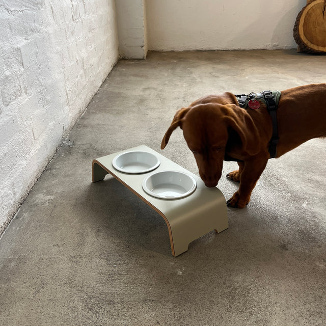 dogBar® - Classic Hundenapf small - salbei - Porzellan