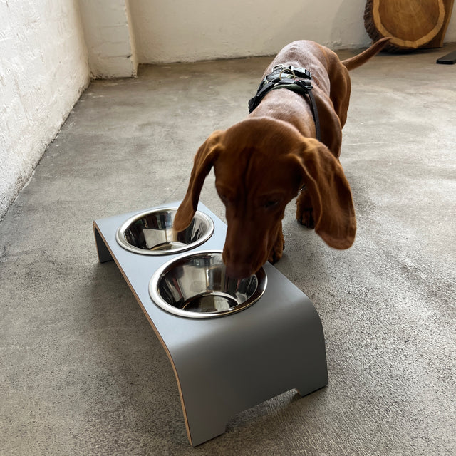 dogBar® - Classic Hundenapf small - grau