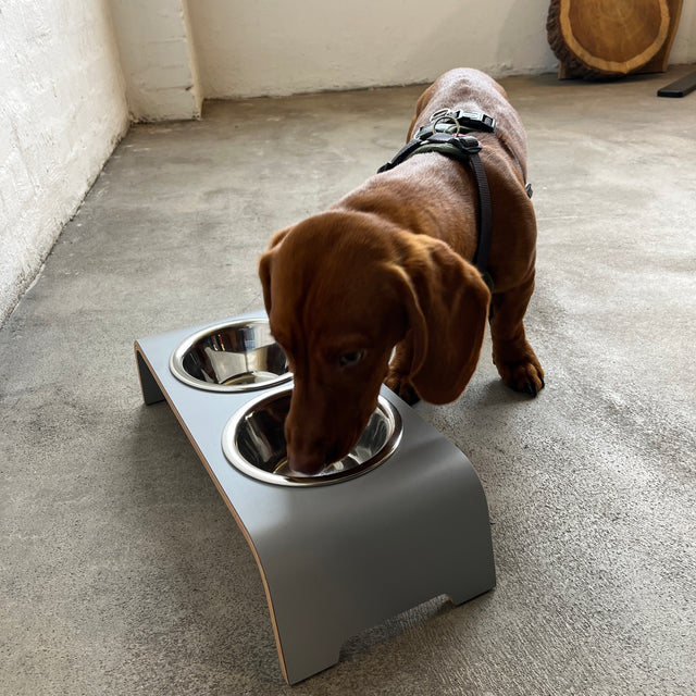 dogBar® - Classic Hundenapf small - grau