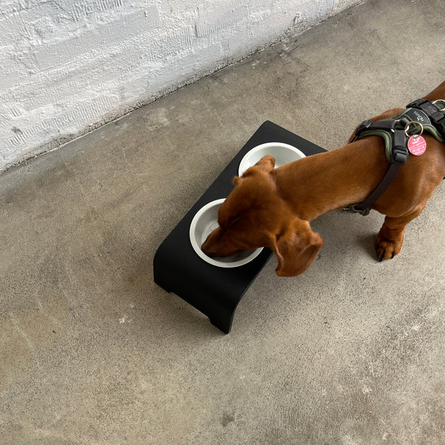 dogBar® - Classic Hundenapf small - Eiche dunkel