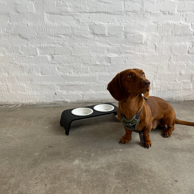 dogBar® - Classic Hundenapf small - Eiche dunkel