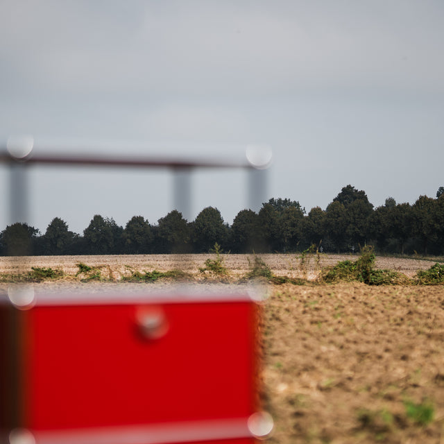 USM Haller - Highboard - rubinrot - TOP Zustand!