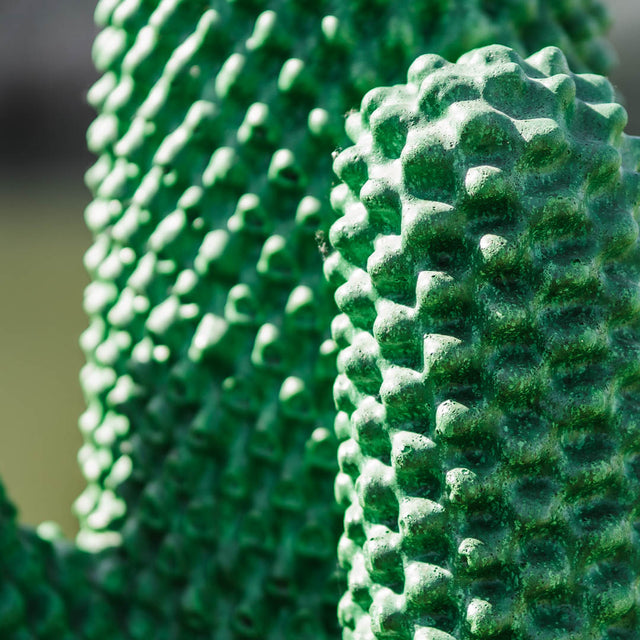 Gufram Cactus - Grün - Limitiert 450/2000 - Guido Drocco & Franco Mello - Multipli Serie