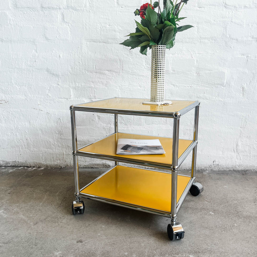 IMG_1380_1000x.jpg?v=1724932342