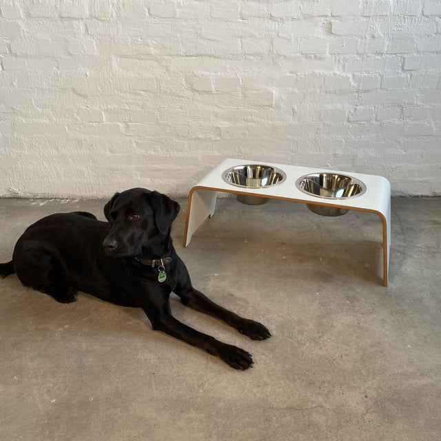 dogBar® - Classic Hundenapf Large - weiß