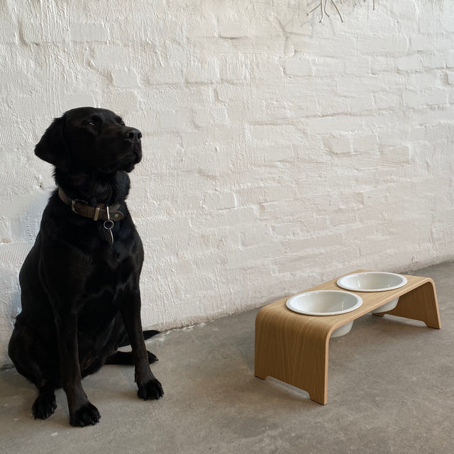 dogBar® - Classic Hundenapf Medium - Eiche hell